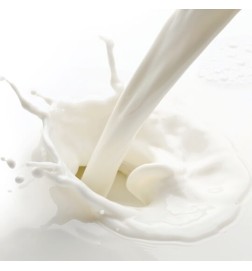 MILK SHAKE - COLD BRUNETTE CONDITIONER (1000ml) Balsamo per capelli castani