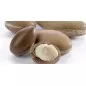 COTRIL - NUTRO SHAMPOO BAR (80g) SHAMPOO SOLIDO NUTRIENTE