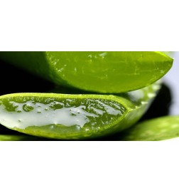 COTRIL - HYDRA SHAMPOO BAR (80g) HYDRA SHAMPOO