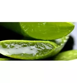 COTRIL - HYDRA SHAMPOO BAR (80g) SHAMPOO SOLIDO IDRATANTE