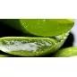 COTRIL - HYDRA SHAMPOO BAR (80g) SHAMPOO SOLIDO IDRATANTE COTRIL - HYDRA SHAMPOO BAR (80g) SHAMPOO SOLIDO IDRATANTE