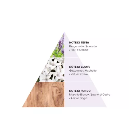 COTRIL - TIMELESS ELIXIR (30ml) Elixir di bellezza anti-age