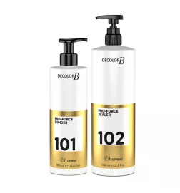 Decolor B Pro-Force 101-102 Intensive Repair Kit