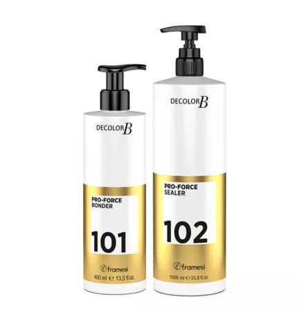 Decolor B Pro-Force 101-102 Intensive Repair Kit