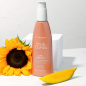 The Anza Healing Curls Curl Therapy (160ml) Balsam without rinsing The Anza Healing Curls Curl Therapy (160ml) Balsam without rinsing