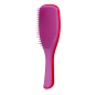 TANGLE TEEZER DETAING HAIRBRUSH - STRAIGT and CURLY