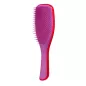 TANGLE TEEZER DETAING HAIRBRUSH - STRAIGT and CURLY