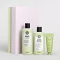 MARIA NILA - Structure Repair Beauty Box