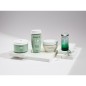 DIVALENT Bath (500ml) Balanced Shampoo