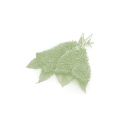 KEMON - ACTYVA NEW FIBRA CREAM (125ml) Reconstruction cream