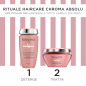 CHROMA ABSOLU SPRING 2025 MASQUE