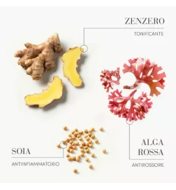 Medavita - Requilibre Shampoo sebo-equilibrante (250ml) Shampoo sebo-equilibrante