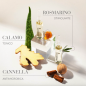 MEDAVITA - Lotion Concentrated Anti-fall treatment shampoo (250ml)