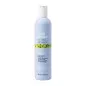 Milk Shake - No Frizz Allowed Perfecting Shampoo (300ml) Shampoo disciplinante capelli crespi