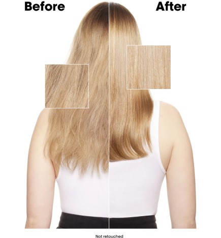 L'ORÉAL PROFESSIONNEL - EXPERT RANGE - ABSOLUT REPAIR CHRISTMAS TRIO SET