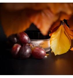 Emmebi Italia - Beauty Experience Lift Express Night Cream (50ml) Crema viso notte anti-age rigenerante e levigante