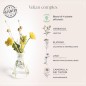 copy of KEMON - ACTYVA NEW FIBRA CREAM (125ml) Reconstruction cream copy of KEMON - ACTYVA NEW FIBRA CREAM (125ml) Reconstruction cream