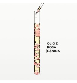 copy of KÉRASTASE - GLOSS ABSOLU COFANETTO Oil Holidays 2025