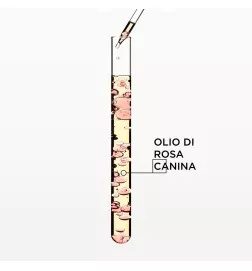 KÉRASTASE - GLOSS ABSOLU COFANETTO SPRING 2026