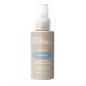 copy of Paul Mitchell - Moisture - AWAPUHI Moisture MIST (250ml)