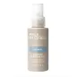 PAUL MITCHELL - Hydrate - Awapuhi Moisture Mist (250ml) Spray Idratante PAUL MITCHELL - Hydrate - Awapuhi Moisture Mist (250ml) Spray Idratante