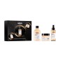 L'OREAL PROFESSIONNEL - SERIE EXPERT - ABSOLUT REPAIR COFANETTO NATALE TRIO L'OREAL PROFESSIONNEL - SERIE EXPERT - ABSOLUT REPAIR COFANETTO NATALE TRIO
