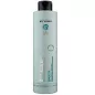 PROFESSIONAL BY FAMA - STYLING SMOOTH - FRIZZ CONTROL TREATMENT (500ml) PROFESSIONAL BY FAMA - STYLING SMOOTH - FRIZZ CONTROL TREATMENT (500ml)