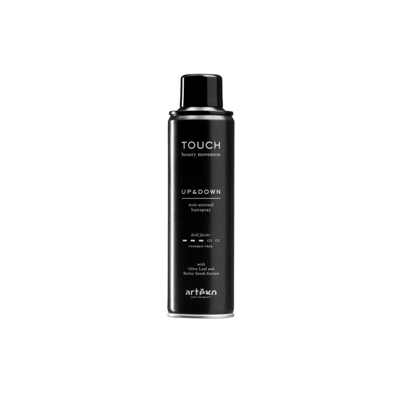 ARTEGO - TOUCH - UP&DOWN (250ml) Eco Lacquer medium fixing ARTEGO - TOUCH - UP&DOWN (250ml) Eco Lacquer medium fixing