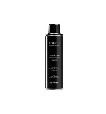 ARTEGO - TOUCH - UP&DOWN (250ml) Lacca ecologica medio fissaggio