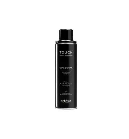ARTEGO - TOUCH - UP&DOWN (250ml) Lacca ecologica medio fissaggio