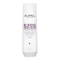 GOLDWELL - DUALSENSES - BLONDES & HIGHLIGHTS - ANTI-YELLOW SHAMPOO (250ml) Shampoo