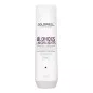 GOLDWELL - DUALSENSES - BLONDES & HIGHLIGHTS - ANTI-YELLOW SHAMPOO (250ml) Shampoo