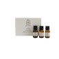 MURAN - ENERGY 03 Were Essential (3x10ml) Were Essential Energy