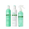 Sensorial Mint