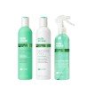 Sensorial Mint