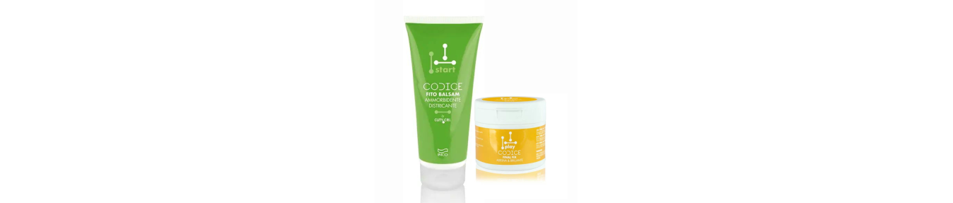 Code Start