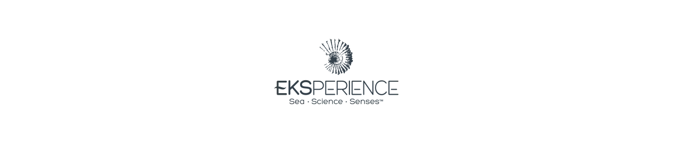 EKSPERIENCE
