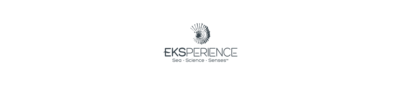 EXPERIENCE
