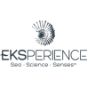 Experience