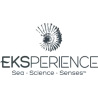 Experience
