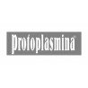 PROTOPLASMINA
