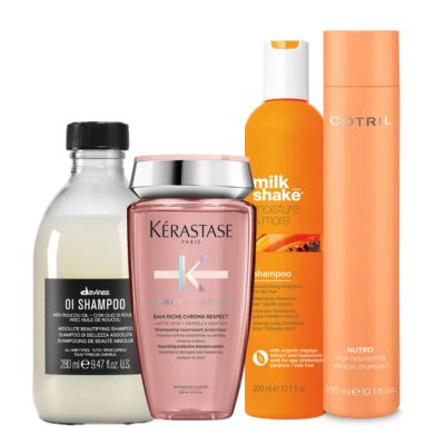  Shampoo 